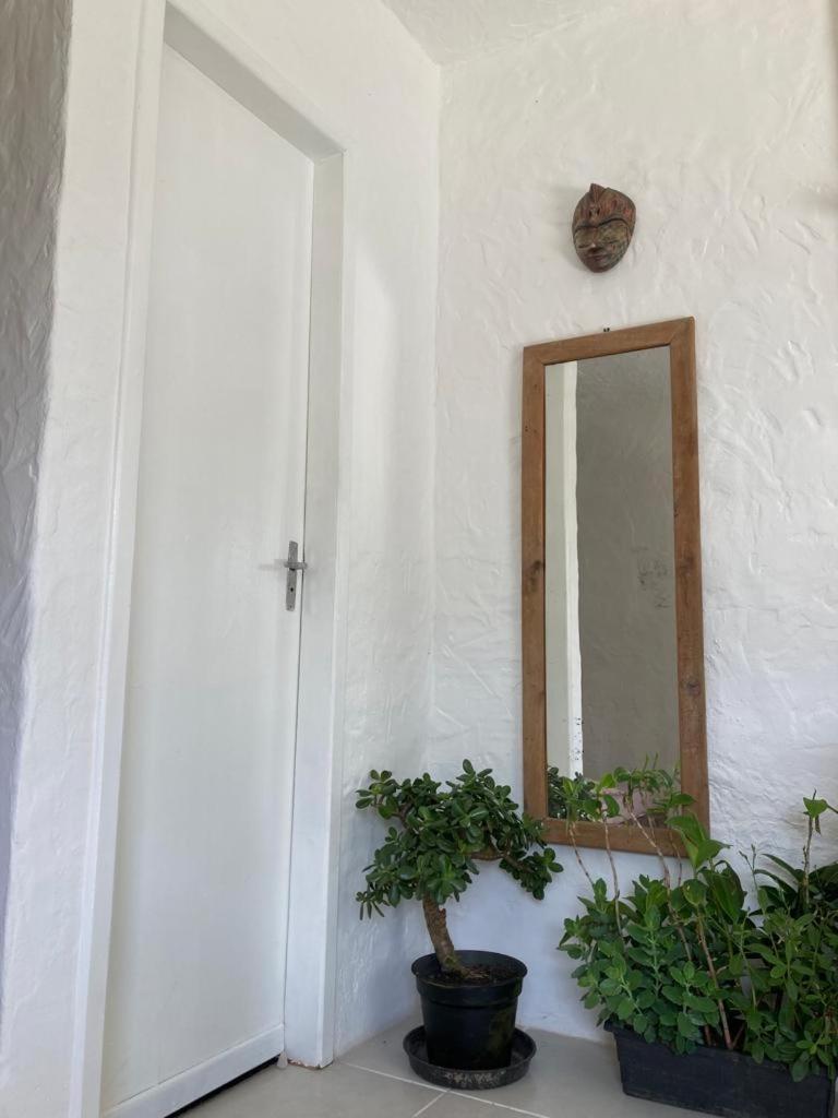 Surf Paradise Apartamentos Pinheira Dış mekan fotoğraf